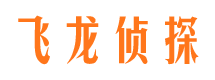 文山飞龙私家侦探公司